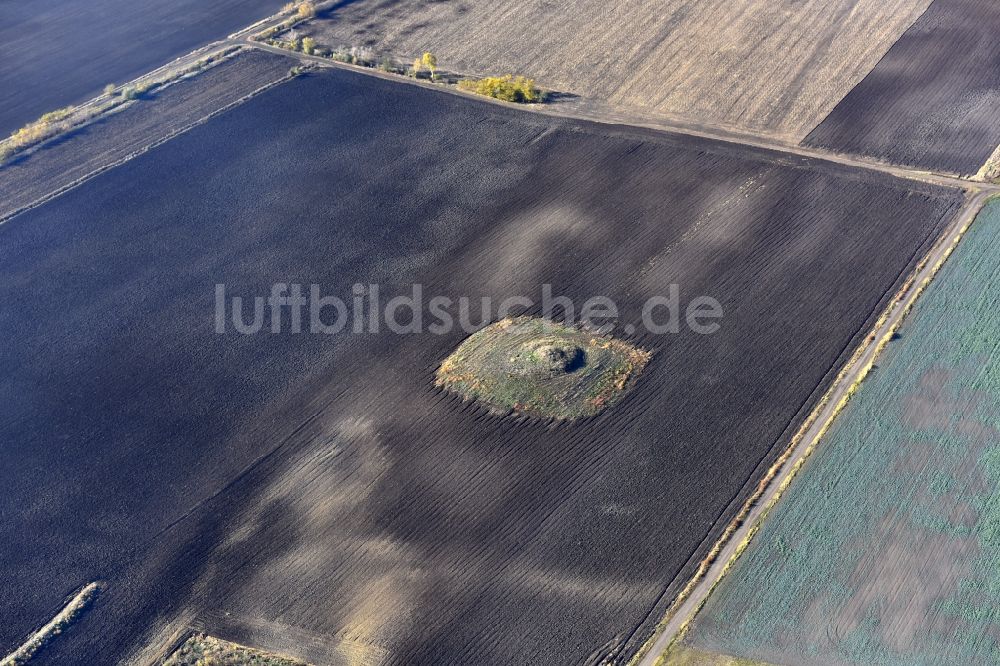 Luftbild Fegyvernek - Insel auf einem Feld in Fegyvernek in Jasz-Nagykun-Szolnok, Ungarn