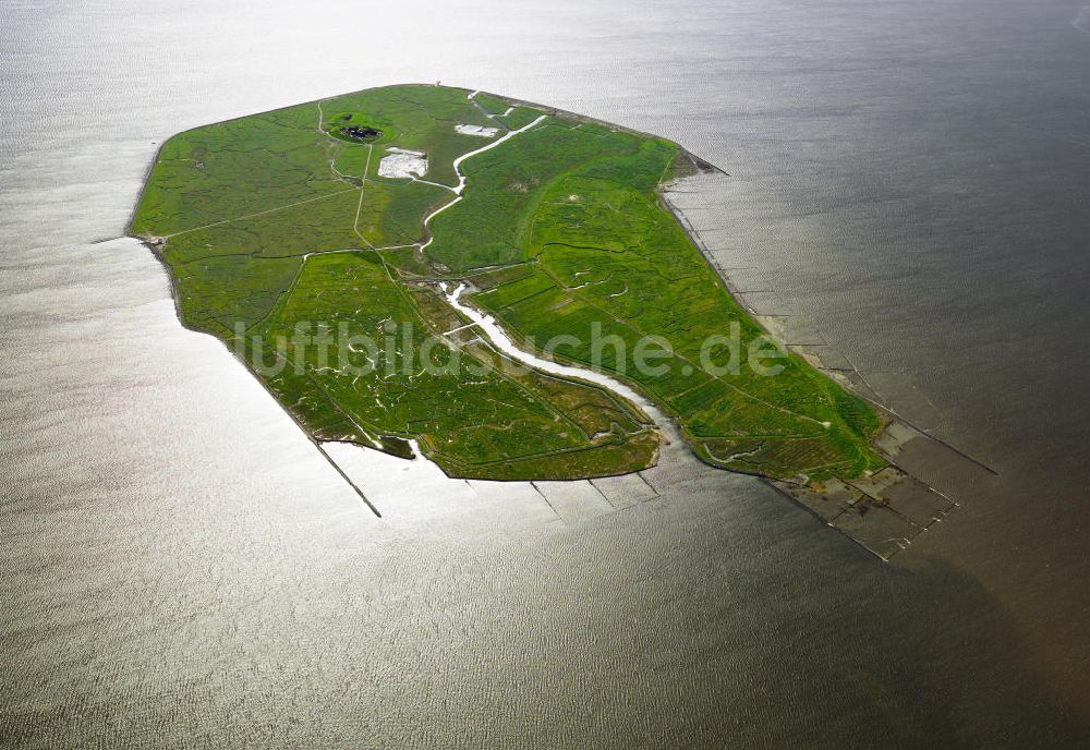 Luftbild Gröde - Insel Hallig Gröde in Schleswig-Holstein