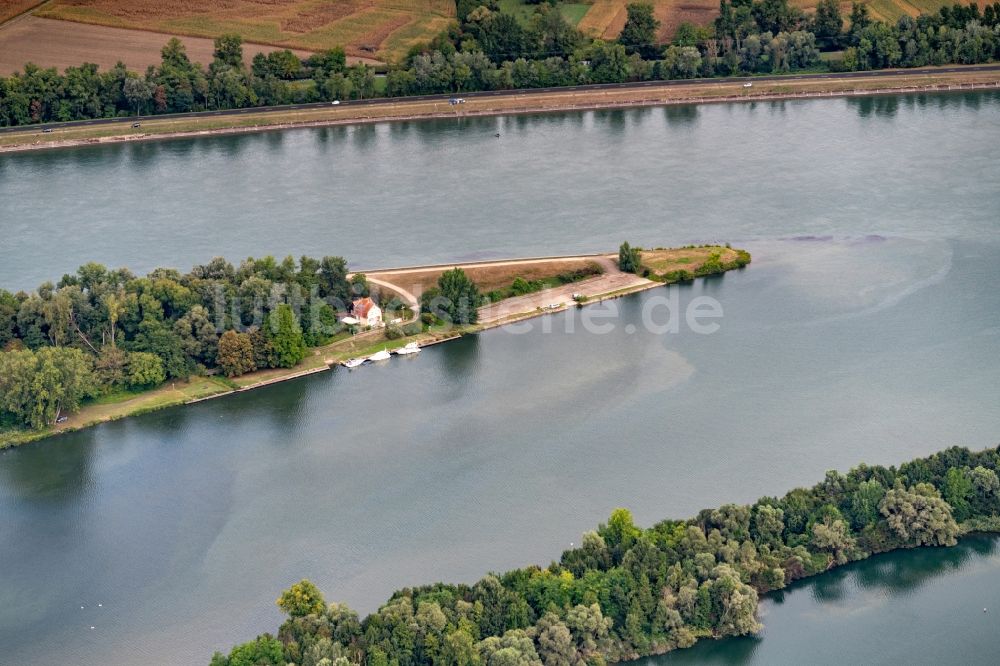 Luftbild Rhinau - Insel am Ufer des Flußverlaufes am Oberrhein in Rhinau in Grand Est, Frankreich