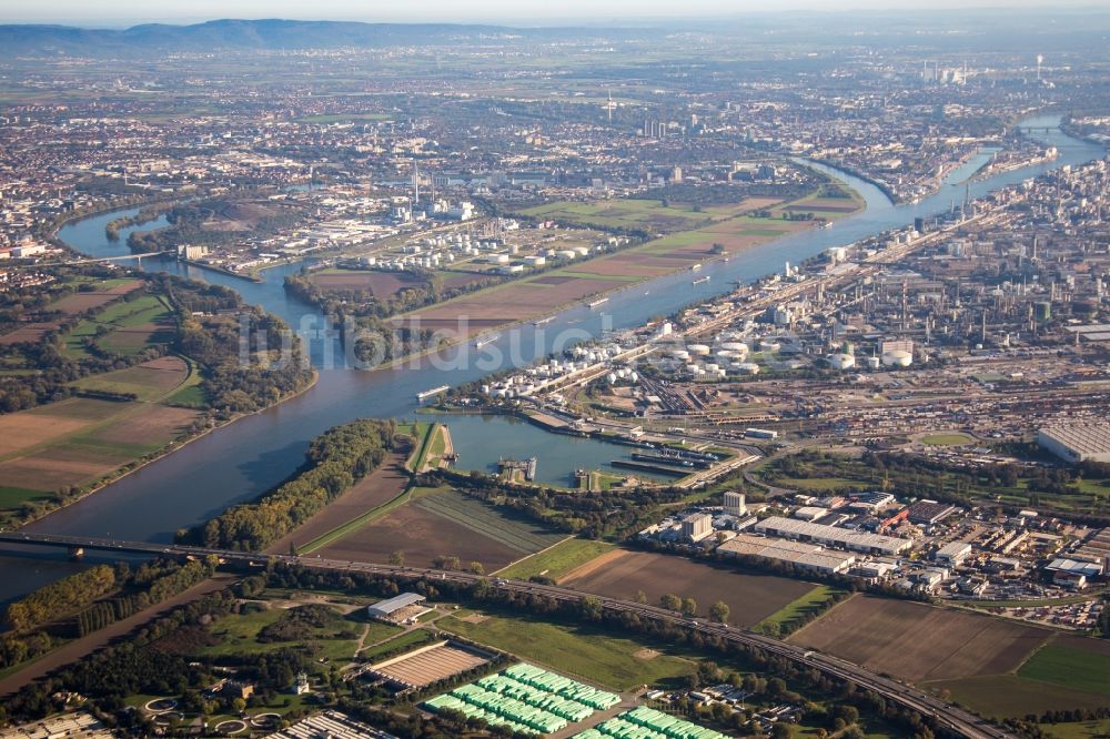 Luftbild Mannheim - Insel am Ufer des Flußverlaufes des Rhein und des Friesenheimer Altrheins im Ortsteil Friesenheimer Insel in Mannheim im Bundesland Baden-Württemberg, Deutschland