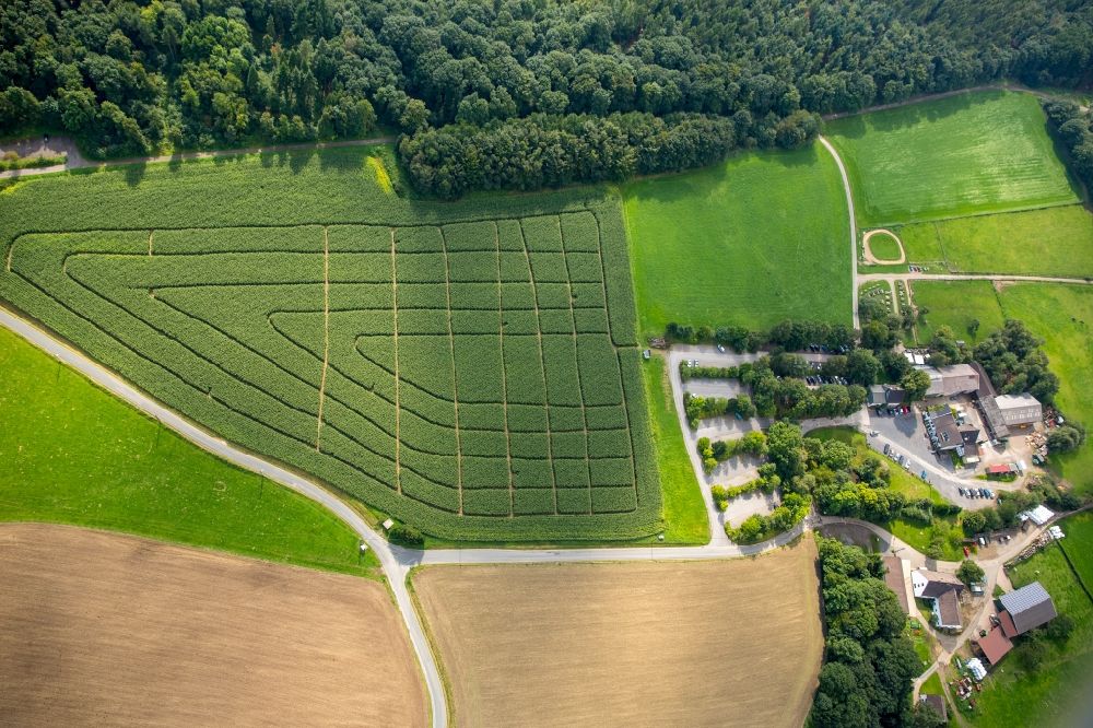 Luftbild Hattingen - Irrgarten - Labyrinth auf einem Maisfeld des Bergerhof in Hattingen im Bundesland Nordrhein-Westfalen