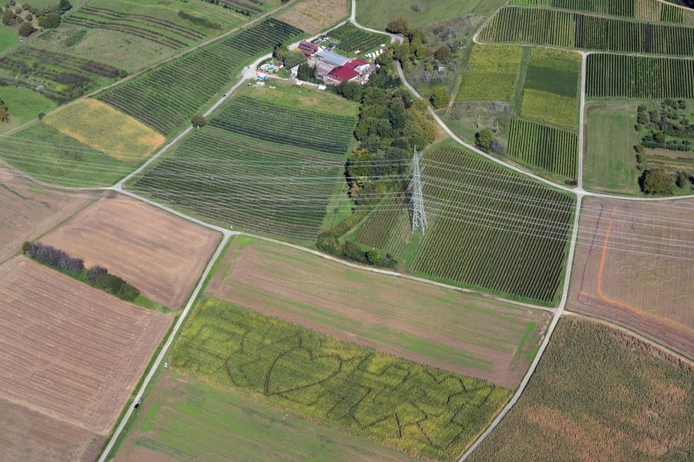 Luftaufnahme Kandern - Irrgarten - Labyrinth in einem Maisfeld auf einem Feld beim Hofgut Rüttehof im Ortsteil Wollbach in Kandern im Bundesland Baden-Württemberg, Deutschland