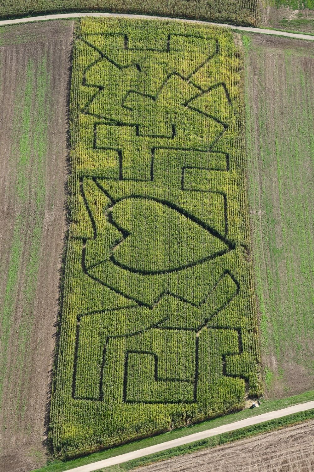 Luftaufnahme Kandern - Irrgarten - Labyrinth in einem Maisfeld auf einem Feld im Ortsteil Wollbach in Kandern im Bundesland Baden-Württemberg, Deutschland