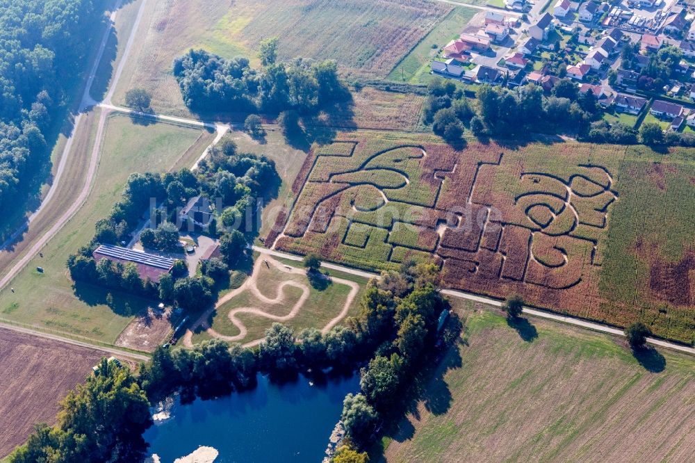 Leimersheim aus der Vogelperspektive: Irrgarten - Labyrinth auf einem Maisfeld in Leimersheim im Bundesland Rheinland-Pfalz, Deutschland