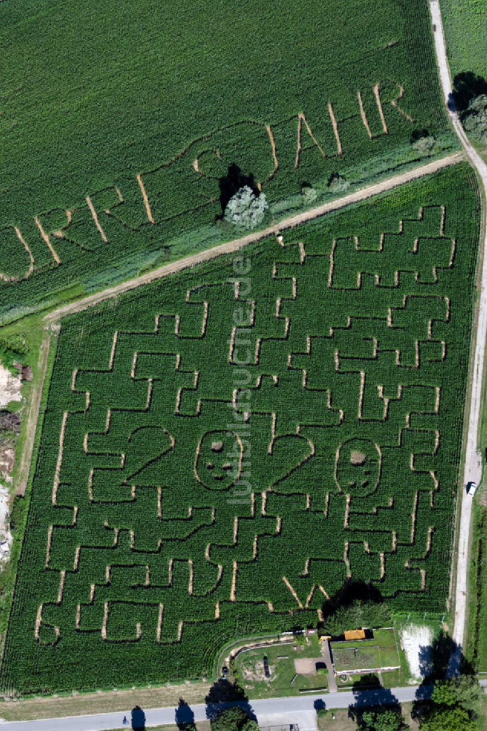 Luftaufnahme Opfingen - Irrgarten - Labyrinth in einem Maisfeld in Opfingen im Bundesland Baden-Württemberg, Deutschland