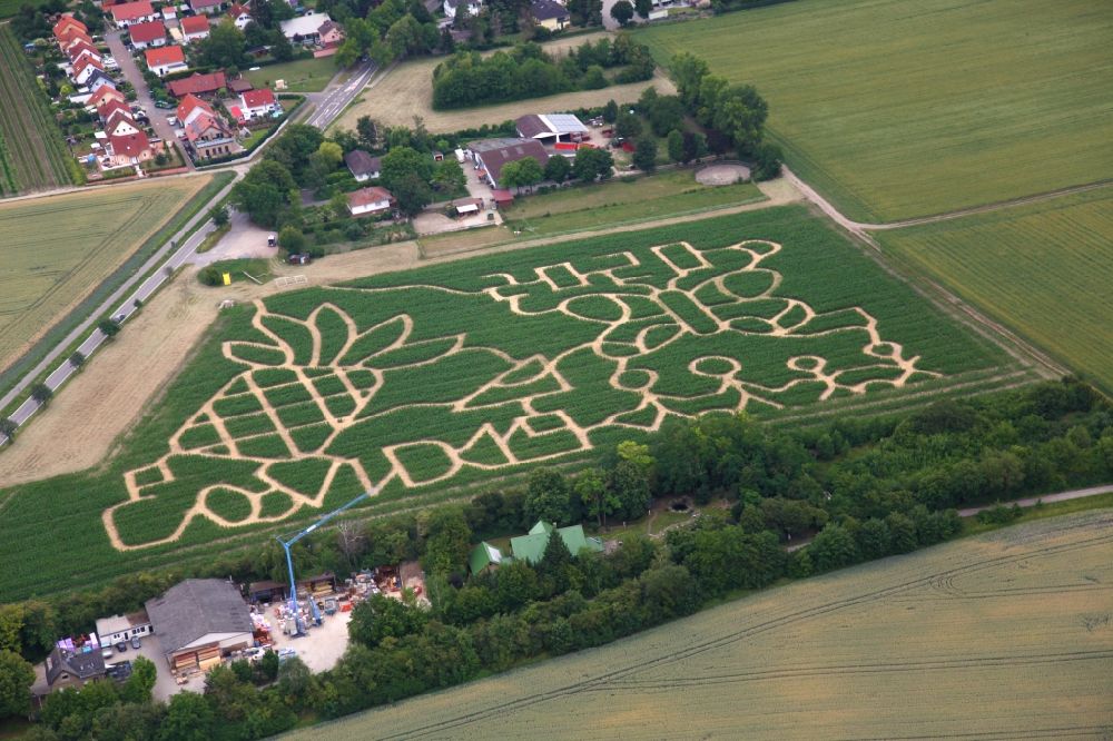 Dalheim aus der Vogelperspektive: Irrgarten - Labyrinth auf einem Maisfeld zum Thema Corona Virus Covid 19 auf einem Feld in Dalheim im Bundesland Rheinland-Pfalz, Deutschland