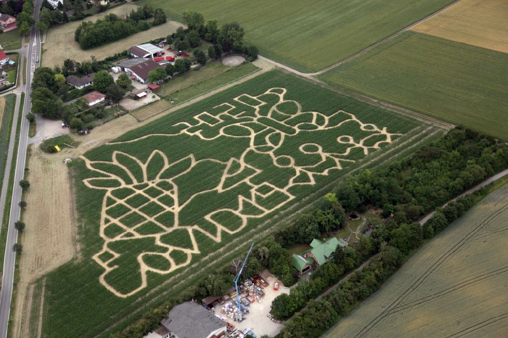 Luftbild Dalheim - Irrgarten - Labyrinth auf einem Maisfeld zum Thema Corona Virus Covid 19 auf einem Feld in Dalheim im Bundesland Rheinland-Pfalz, Deutschland