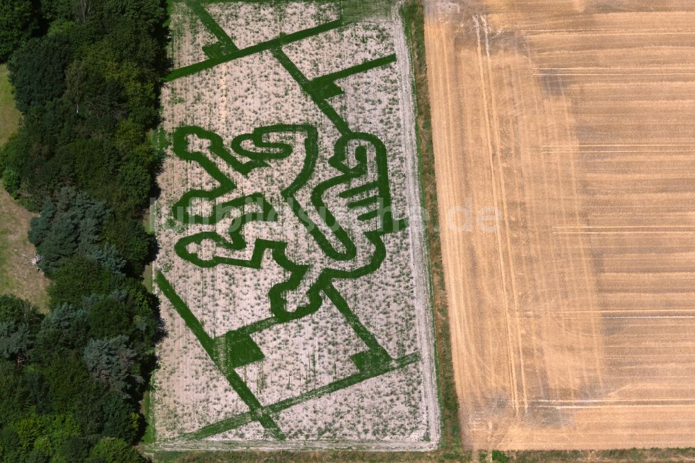 Luftbild Braunschweig - Irrgarten - Labyrinth des Elefantengras Löwenlabyrinth Braunschweig auf einem Feld in Braunschweig im Bundesland Niedersachsen, Deutschland