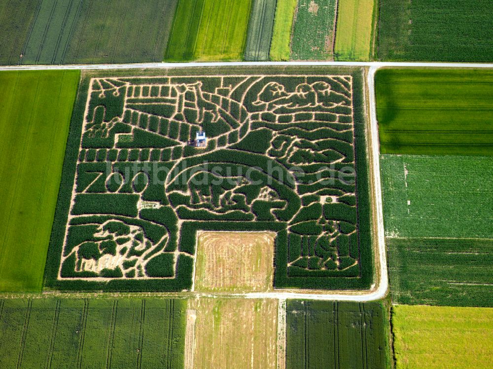 Bondorf von oben - Irrgarten - Labyrinth in Form von Zootieren auf landwirtschaftlichen Flächen in Neustetten im Bundesland Baden-Württemberg, Deutschland