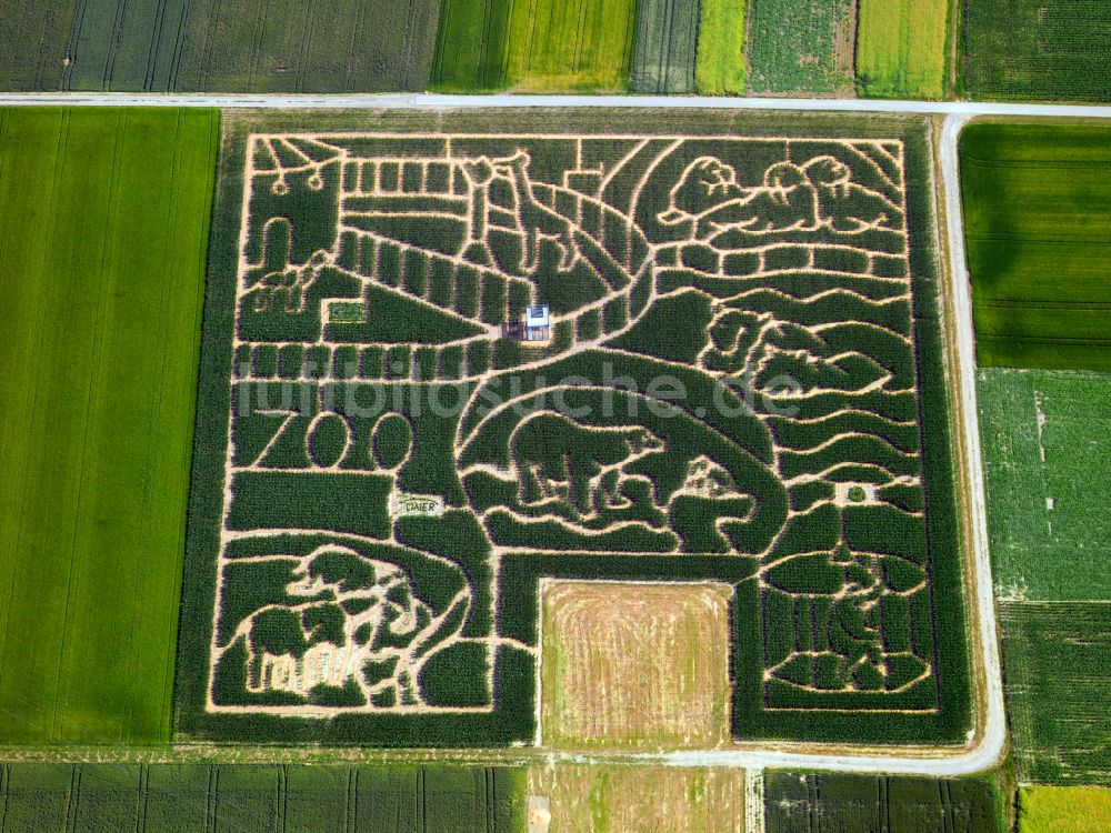 Bondorf aus der Vogelperspektive: Irrgarten - Labyrinth in Form von Zootieren auf landwirtschaftlichen Flächen in Neustetten im Bundesland Baden-Württemberg, Deutschland