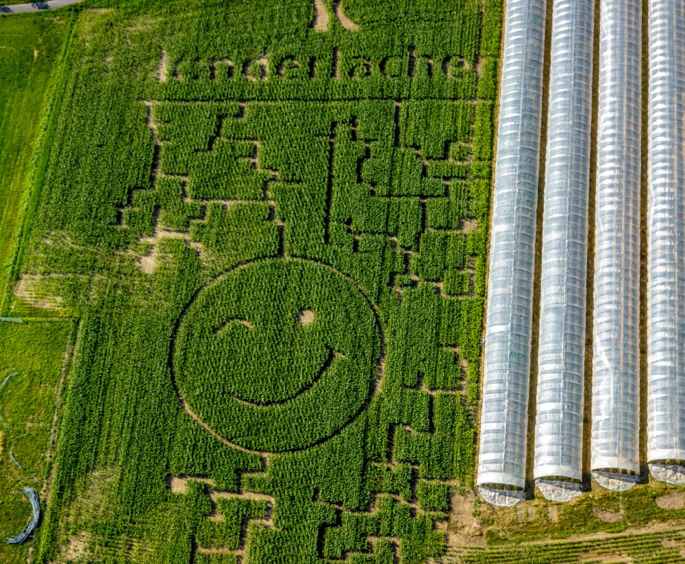 Luftaufnahme Grevel - Irrgarten - Labyrinth in Grevel im Bundesland Nordrhein-Westfalen, Deutschland