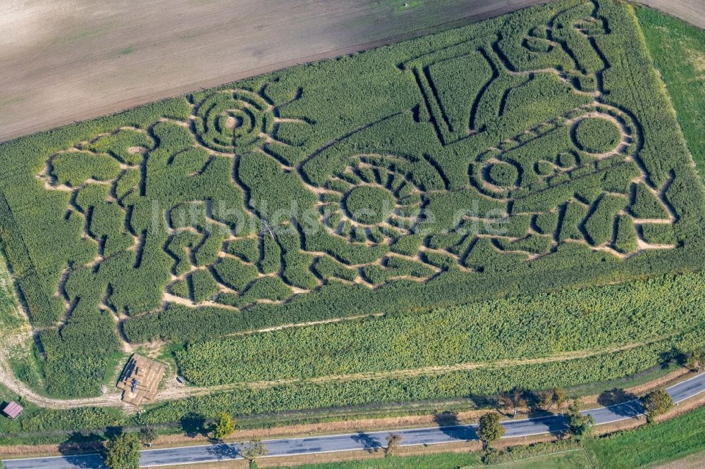Lohme aus der Vogelperspektive: Irrgarten - Labyrinth Das Grüne Labyrinth Rügen am Blandow in Lohme im Bundesland Mecklenburg-Vorpommern, Deutschland