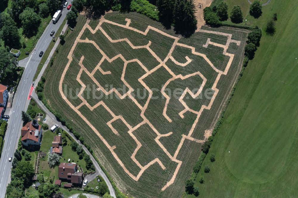 Lindau (Bodensee) von oben - Irrgarten - Labyrinth des Lindauer Maislabyrinth in Lindau (Bodensee) im Bundesland Bayern, Deutschland