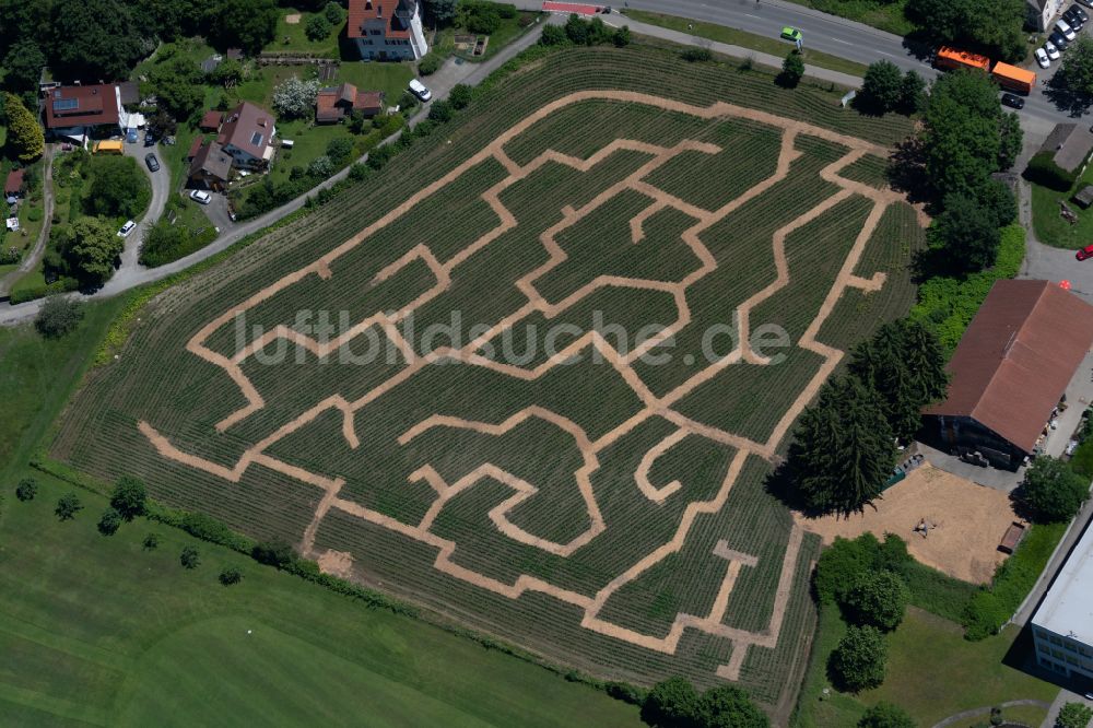 Luftbild Lindau (Bodensee) - Irrgarten - Labyrinth des Lindauer Maislabyrinth in Lindau (Bodensee) im Bundesland Bayern, Deutschland
