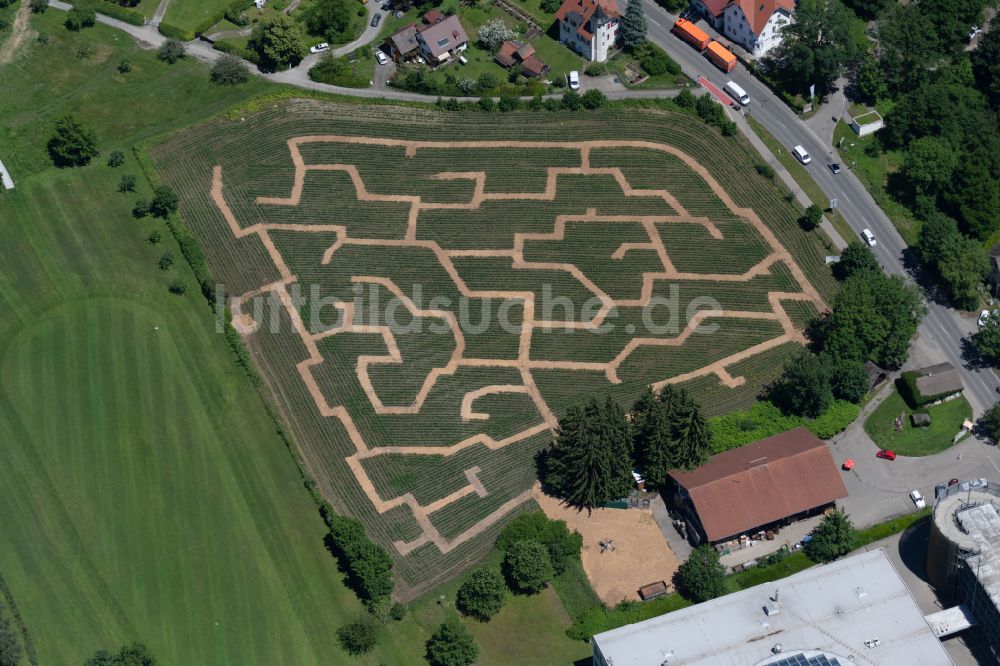 Lindau (Bodensee) aus der Vogelperspektive: Irrgarten - Labyrinth des Lindauer Maislabyrinth in Lindau (Bodensee) im Bundesland Bayern, Deutschland