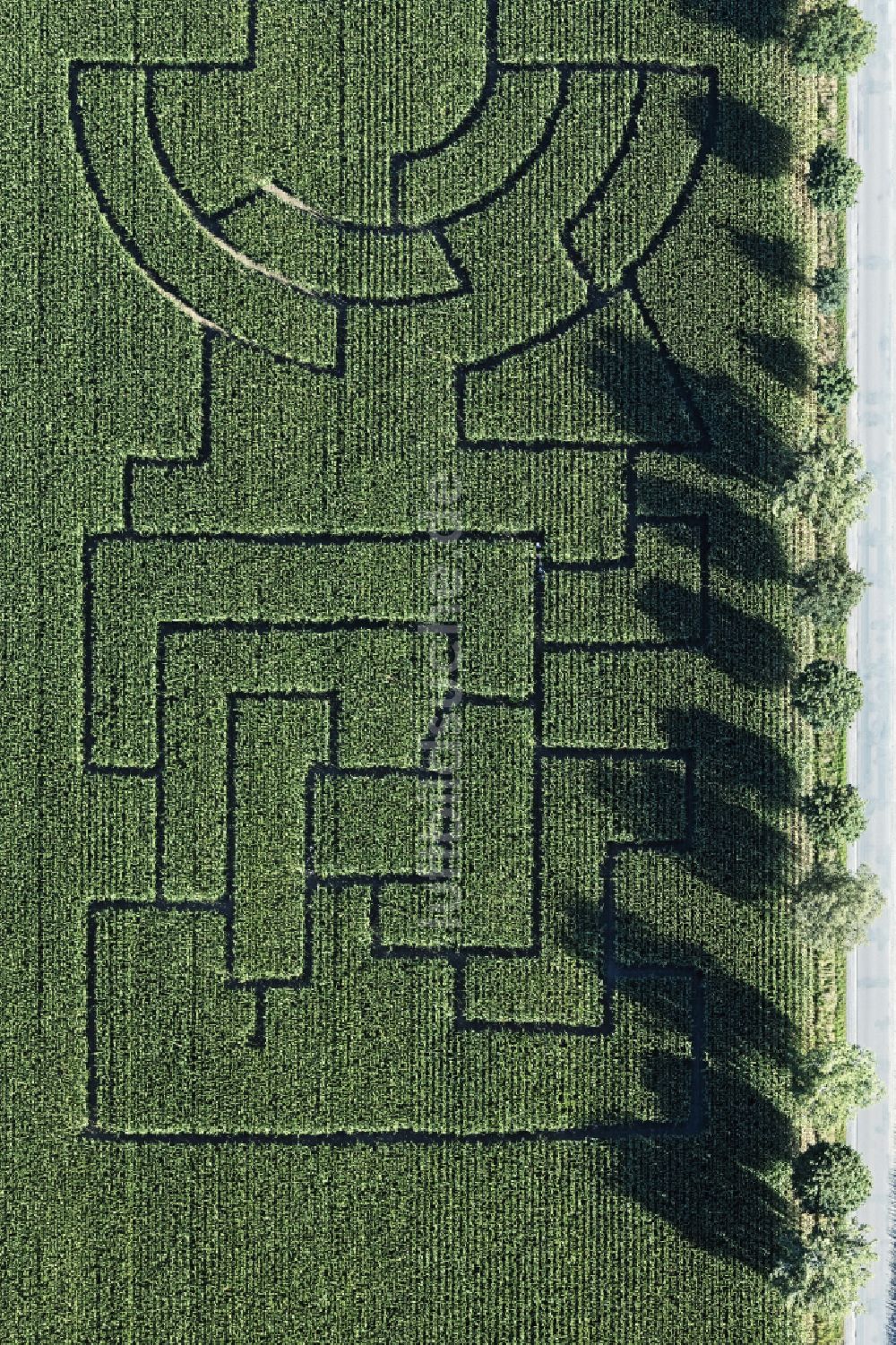 Uchte aus der Vogelperspektive: Irrgarten - Labyrinth mit den Umrissen auf einem Feld in Uchte im Bundesland Niedersachsen, Deutschland
