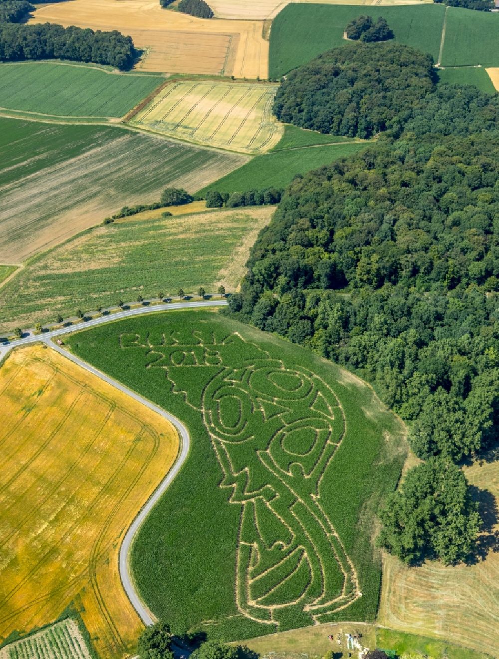 Selm von oben - Irrgarten - Labyrinth mit den Umrissen auf einem Mais - Feld in Selm im Bundesland Nordrhein-Westfalen, Deutschland