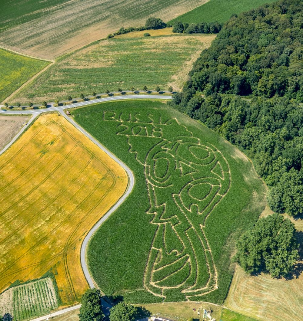 Selm aus der Vogelperspektive: Irrgarten - Labyrinth mit den Umrissen auf einem Mais - Feld in Selm im Bundesland Nordrhein-Westfalen, Deutschland