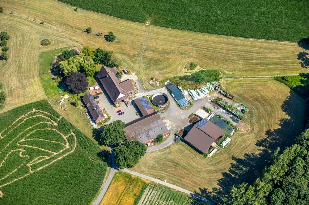 Luftbild Selm - Irrgarten - Labyrinth mit den Umrissen auf einem Mais - Feld in Selm im Bundesland Nordrhein-Westfalen, Deutschland