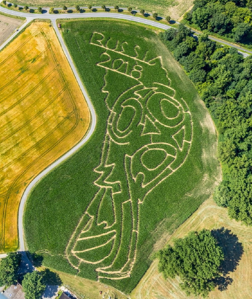 Luftaufnahme Selm - Irrgarten - Labyrinth mit den Umrissen auf einem Mais - Feld in Selm im Bundesland Nordrhein-Westfalen, Deutschland