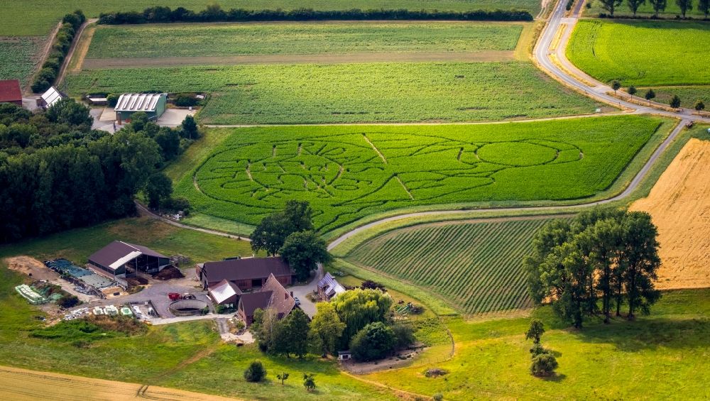 Luftbild Selm - Irrgarten - Labyrinth mit den Umrissen Fridays for future auf einem Feld in Selm im Bundesland Nordrhein-Westfalen, Deutschland