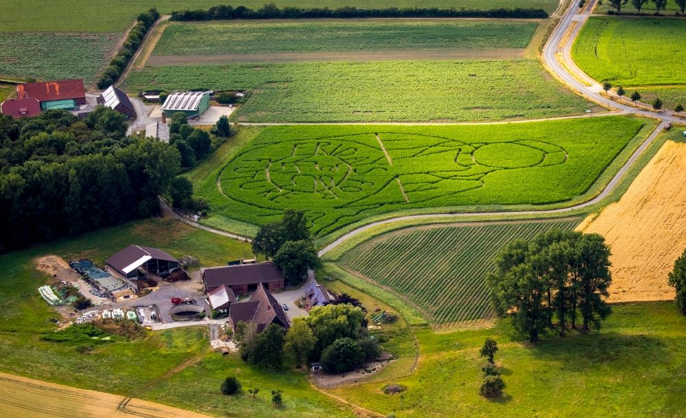 Luftaufnahme Selm - Irrgarten - Labyrinth mit den Umrissen Fridays for future auf einem Feld in Selm im Bundesland Nordrhein-Westfalen, Deutschland