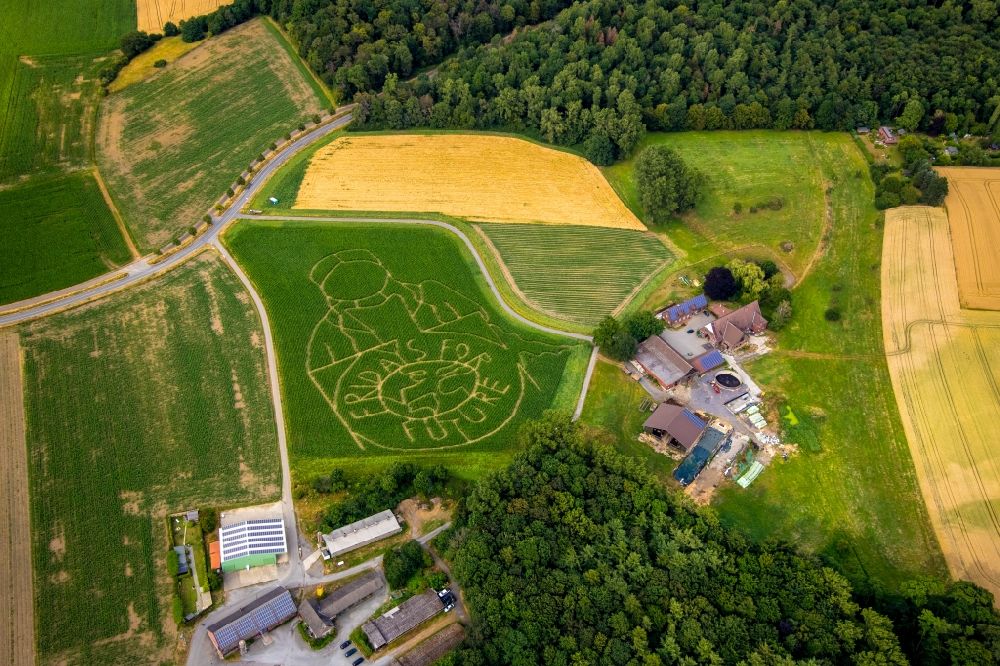 Selm von oben - Irrgarten - Labyrinth mit den Umrissen Fridays for future auf einem Feld in Selm im Bundesland Nordrhein-Westfalen, Deutschland
