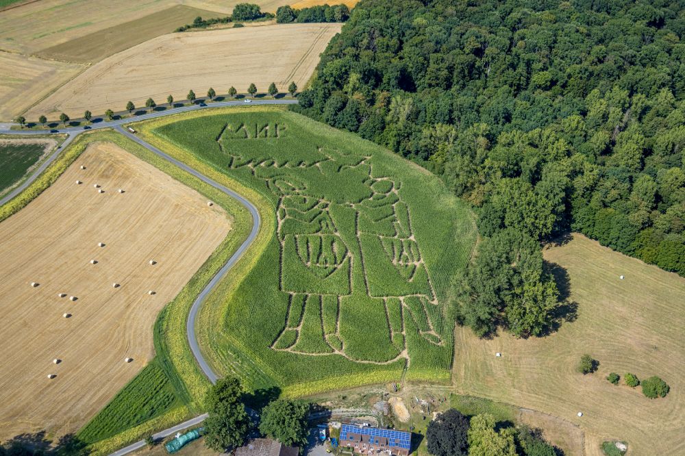 Luftaufnahme Selm - Irrgarten - Labyrinth mit den Umrissen von Friedenssymbolen anlässlich des Krieges in der Ukraine auf einem Feld in Selm im Bundesland Nordrhein-Westfalen, Deutschland