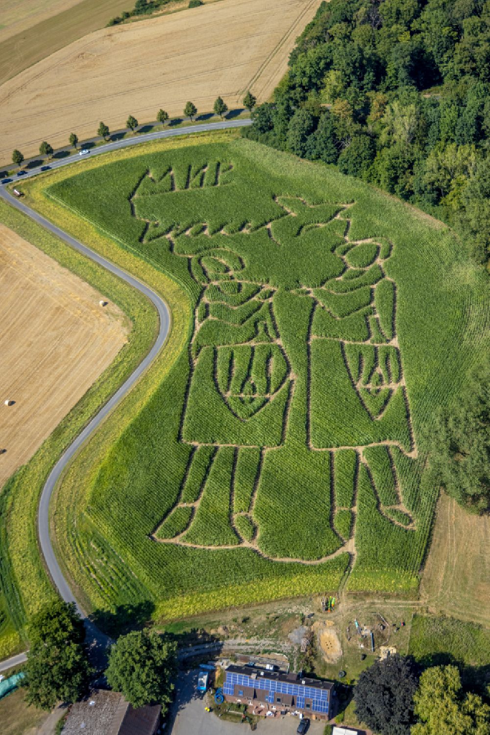 Selm von oben - Irrgarten - Labyrinth mit den Umrissen von Friedenssymbolen anlässlich des Krieges in der Ukraine auf einem Feld in Selm im Bundesland Nordrhein-Westfalen, Deutschland