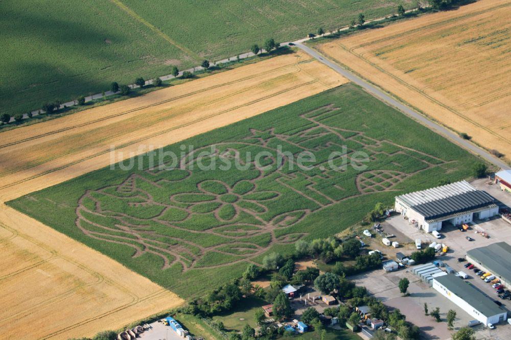 Erfurt aus der Vogelperspektive: Irrgarten - Labyrinth mit den Umrissen der Gartenstadt auf einem Feld in Erfurt im Bundesland Thüringen, Deutschland
