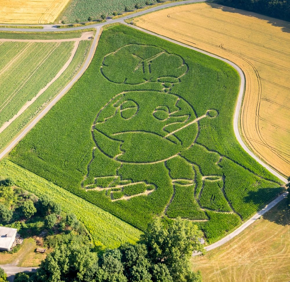 Luftbild Selm - Irrgarten - Labyrinth mit den Umrissen eines Globus auf einem Feld im Ortsteil Cappenberg in Selm im Bundesland Nordrhein-Westfalen, Deutschland