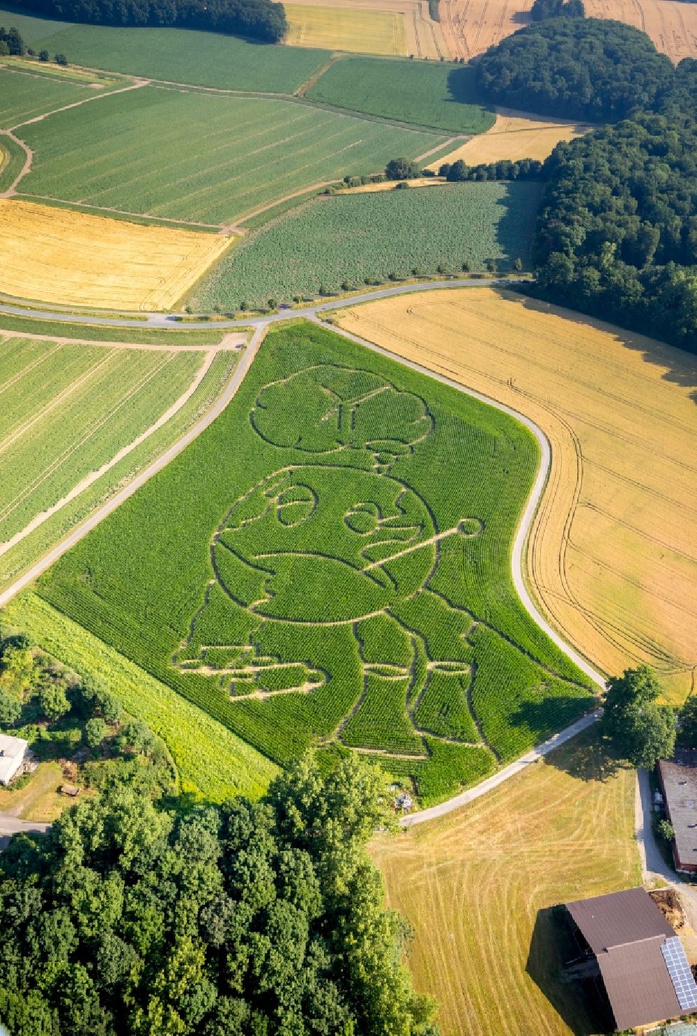 Luftaufnahme Selm - Irrgarten - Labyrinth mit den Umrissen eines Globus auf einem Feld im Ortsteil Cappenberg in Selm im Bundesland Nordrhein-Westfalen, Deutschland