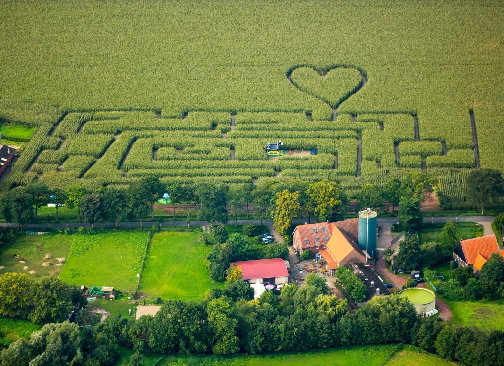 Luftbild Herten - Irrgarten - Labyrinth mit den Umrissen einer Herz- Form auf einem Feld in Herten im Bundesland Nordrhein-Westfalen