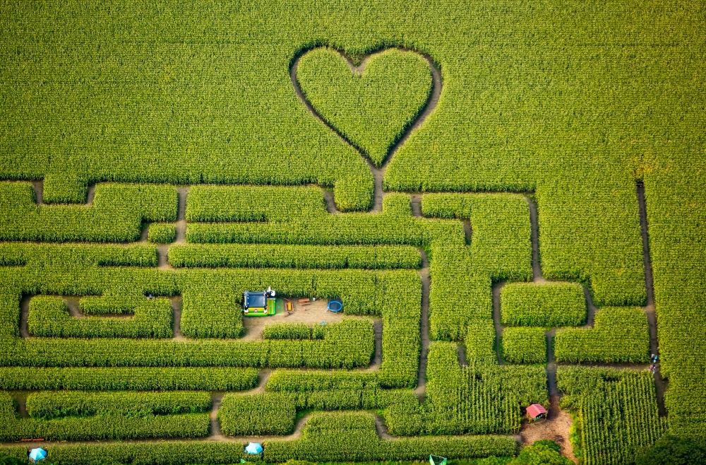 Herten von oben - Irrgarten - Labyrinth mit den Umrissen einer Herz- Form auf einem Feld in Herten im Bundesland Nordrhein-Westfalen