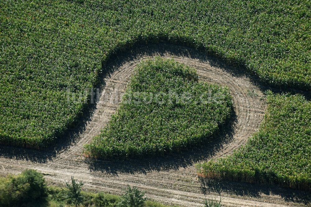 Trebsen/Mulde aus der Vogelperspektive: Irrgarten - Labyrinth mit den Umrissen in Herz- Form auf einem Feld in Trebsen/Mulde im Bundesland Sachsen