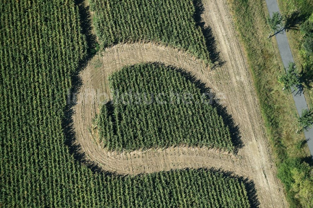 Luftbild Trebsen/Mulde - Irrgarten - Labyrinth mit den Umrissen in Herz- Form auf einem Feld in Trebsen/Mulde im Bundesland Sachsen