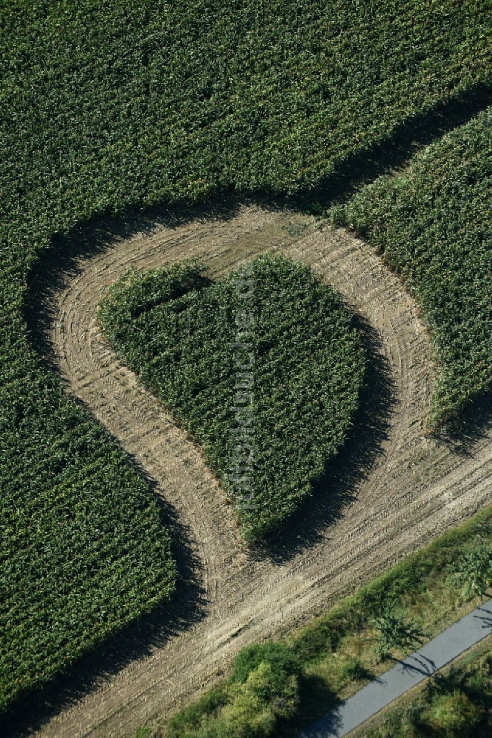 Luftbild Trebsen/Mulde - Irrgarten - Labyrinth mit den Umrissen in Herz- Form auf einem Feld in Trebsen/Mulde im Bundesland Sachsen