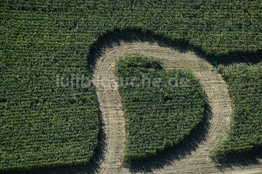 Luftaufnahme Trebsen/Mulde - Irrgarten - Labyrinth mit den Umrissen in Herz- Form auf einem Feld in Trebsen/Mulde im Bundesland Sachsen