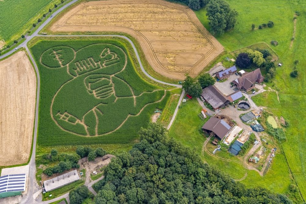 Luftaufnahme Selm - Irrgarten - Labyrinth mit den Umrissen Laßt Euch impfen auf einem Feld in Selm im Bundesland Nordrhein-Westfalen, Deutschland
