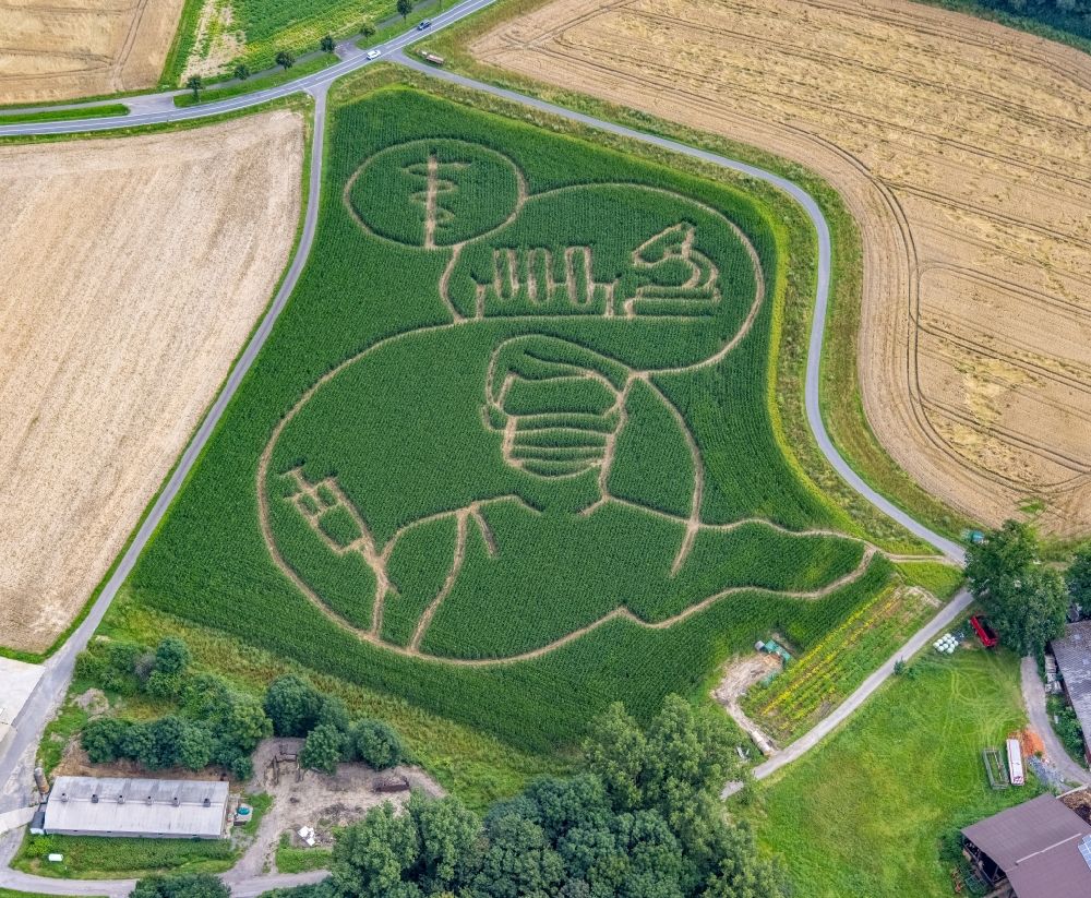 Selm von oben - Irrgarten - Labyrinth mit den Umrissen Laßt Euch impfen auf einem Feld in Selm im Bundesland Nordrhein-Westfalen, Deutschland