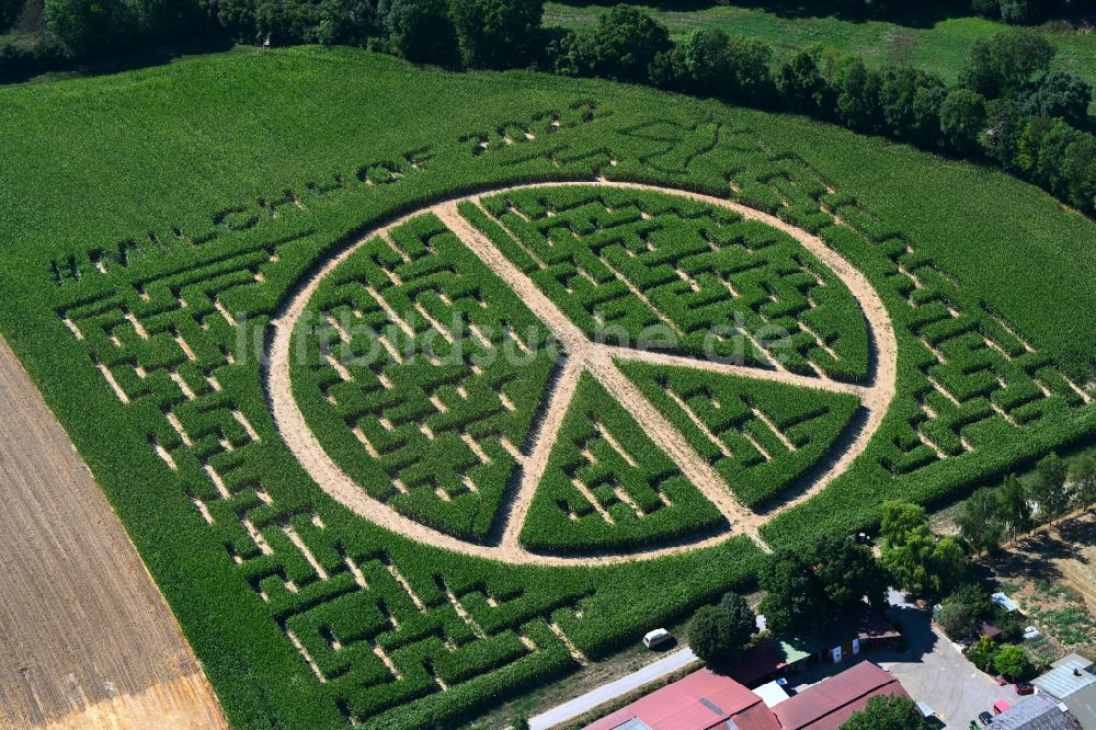 Luftaufnahme Flehingen - Irrgarten - Labyrinth mit den Umrissen des Peace-Zeichen auf einem Feld in Flehingen im Bundesland Baden-Württemberg, Deutschland