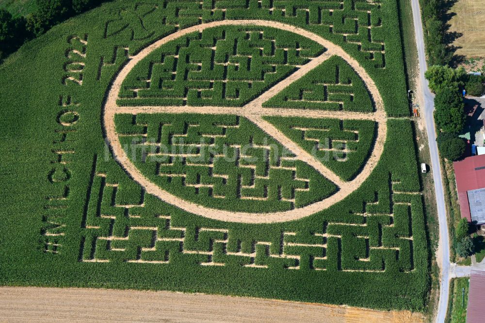 Flehingen von oben - Irrgarten - Labyrinth mit den Umrissen des Peace-Zeichen auf einem Feld in Flehingen im Bundesland Baden-Württemberg, Deutschland