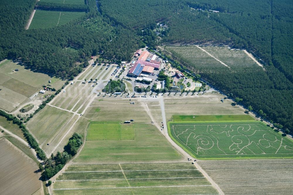 Luftaufnahme Klaistow - Irrgarten - Labyrinth mit den Umrissen am Spargel- und Erlebnishof Klaistow auf einem Feld in Klaistow im Bundesland Brandenburg, Deutschland