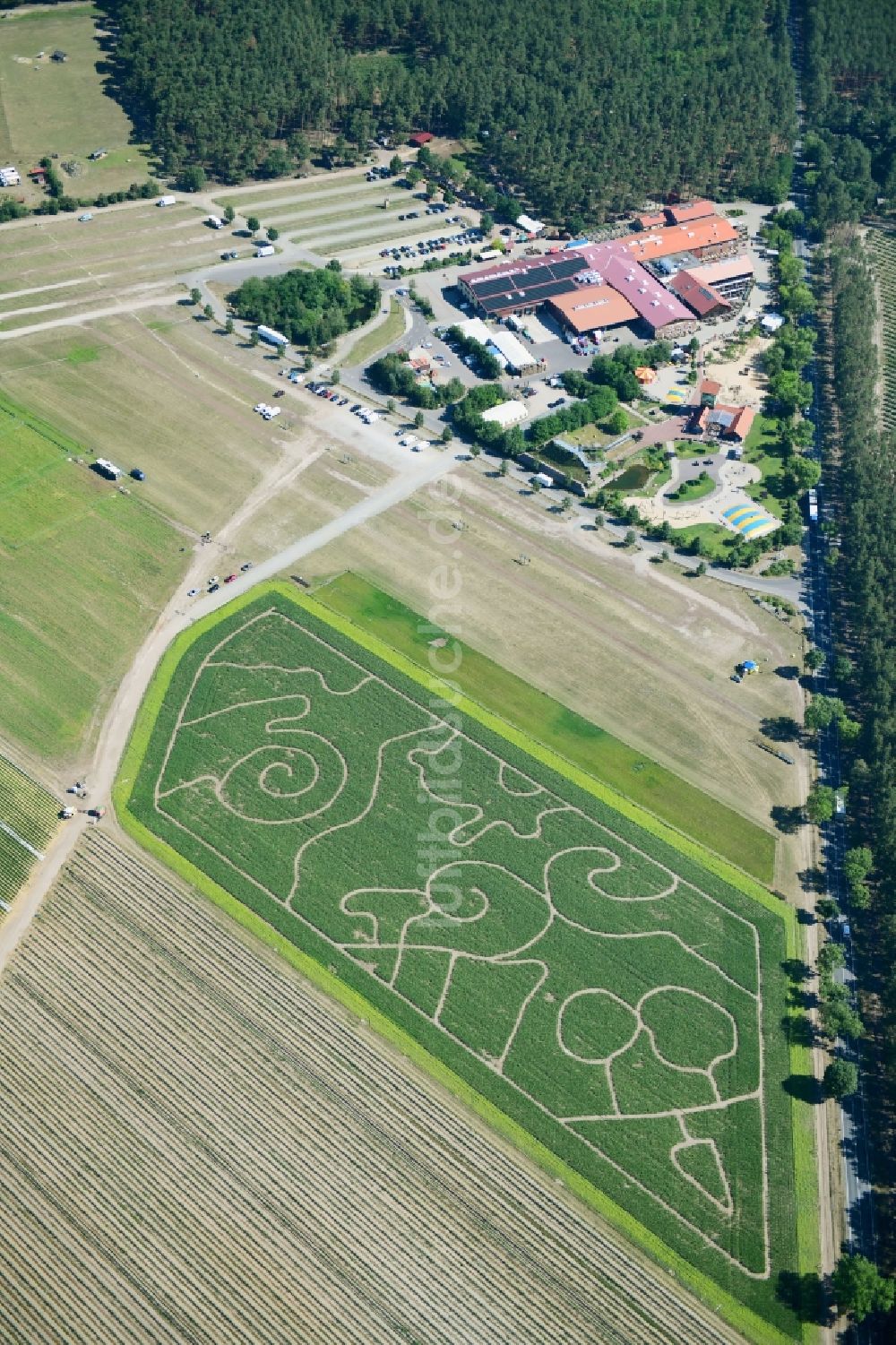 Klaistow aus der Vogelperspektive: Irrgarten - Labyrinth mit den Umrissen am Spargel- und Erlebnishof Klaistow auf einem Feld in Klaistow im Bundesland Brandenburg, Deutschland