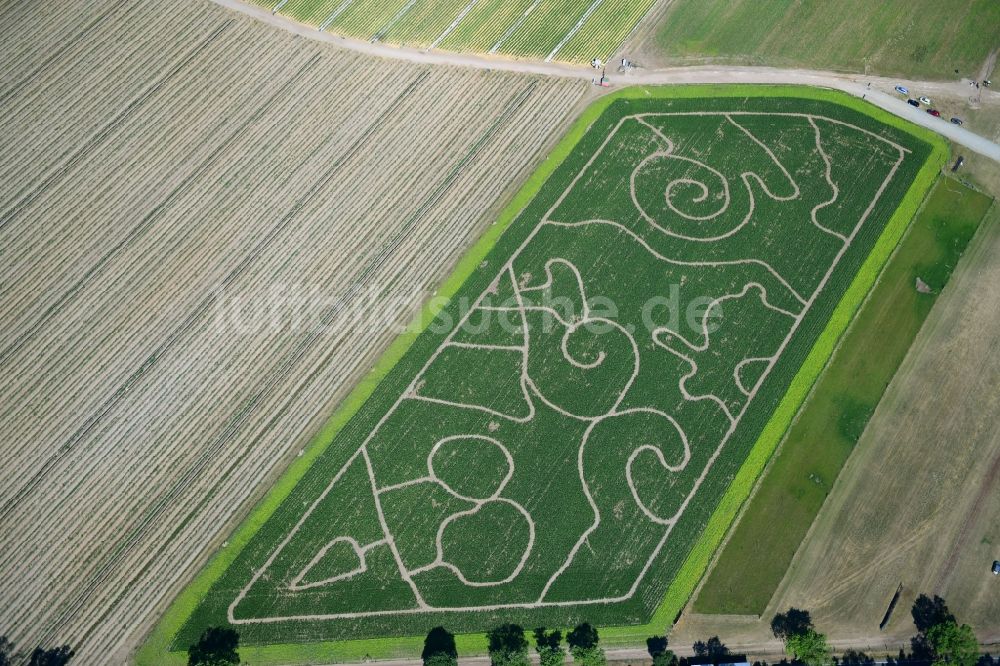 Luftbild Klaistow - Irrgarten - Labyrinth mit den Umrissen am Spargel- und Erlebnishof Klaistow auf einem Feld in Klaistow im Bundesland Brandenburg, Deutschland