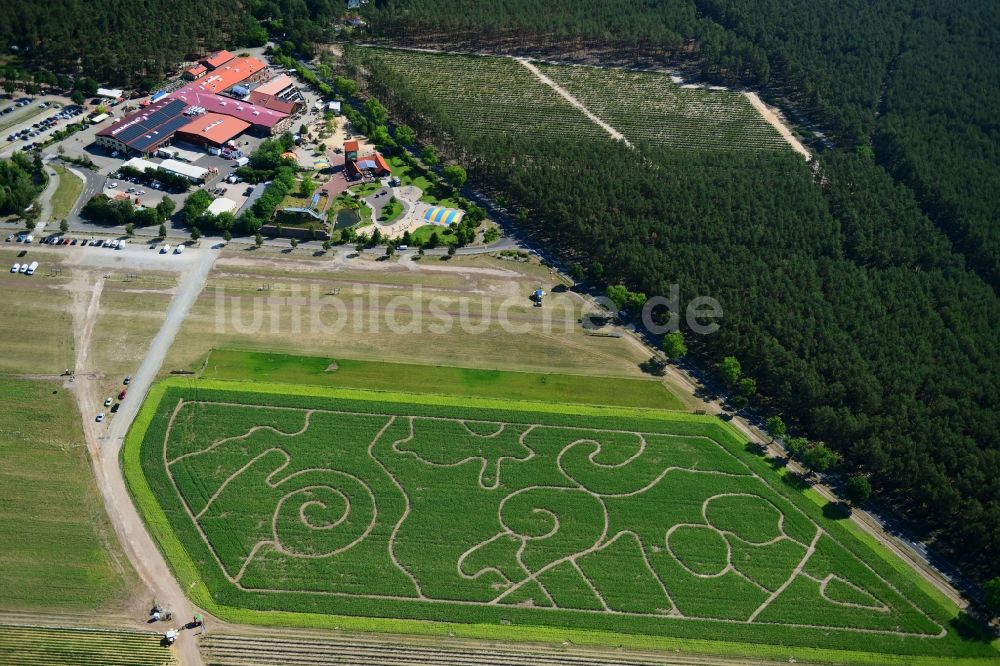 Klaistow von oben - Irrgarten - Labyrinth mit den Umrissen am Spargel- und Erlebnishof Klaistow auf einem Feld in Klaistow im Bundesland Brandenburg, Deutschland