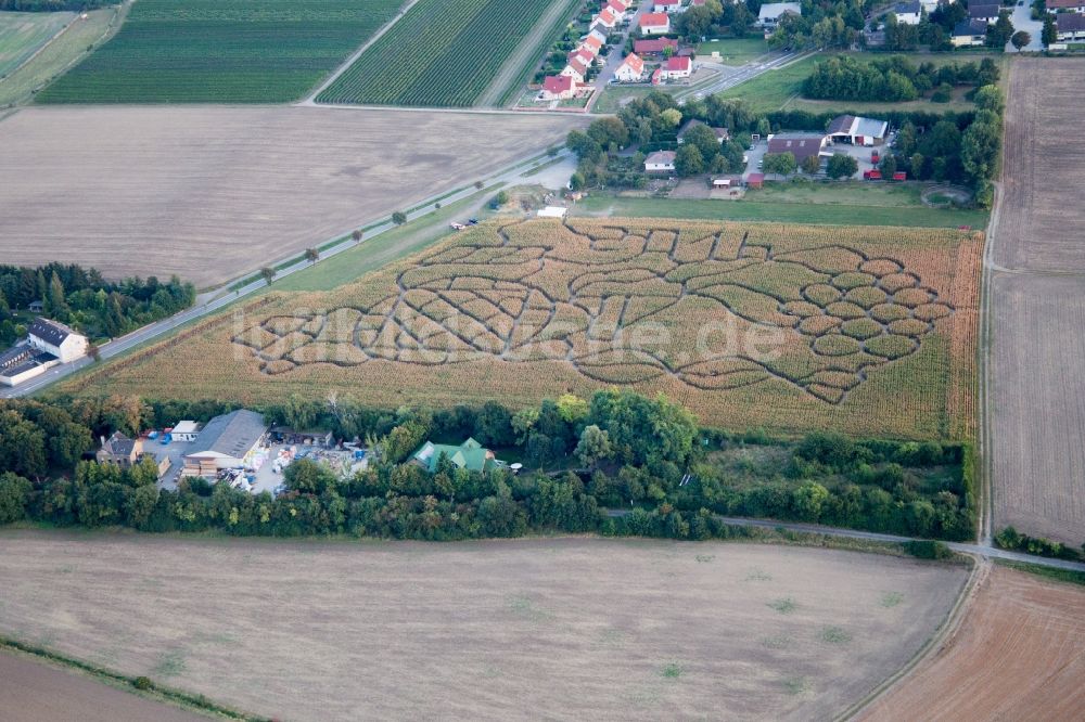 Luftaufnahme Dalheim - Irrgarten - Labyrinth mit den Umrissen einer Weintraube auf einem Feld im Ortsteil Wahlheimer Hof in Dalheim im Bundesland Rheinland-Pfalz