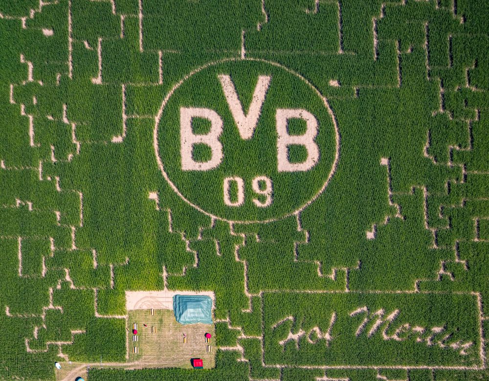 Scharnhorst aus der Vogelperspektive: Irrgarten - Labyrinth mit Werbung für den BVB Fußballverein in Scharnhorst im Bundesland Nordrhein-Westfalen, Deutschland