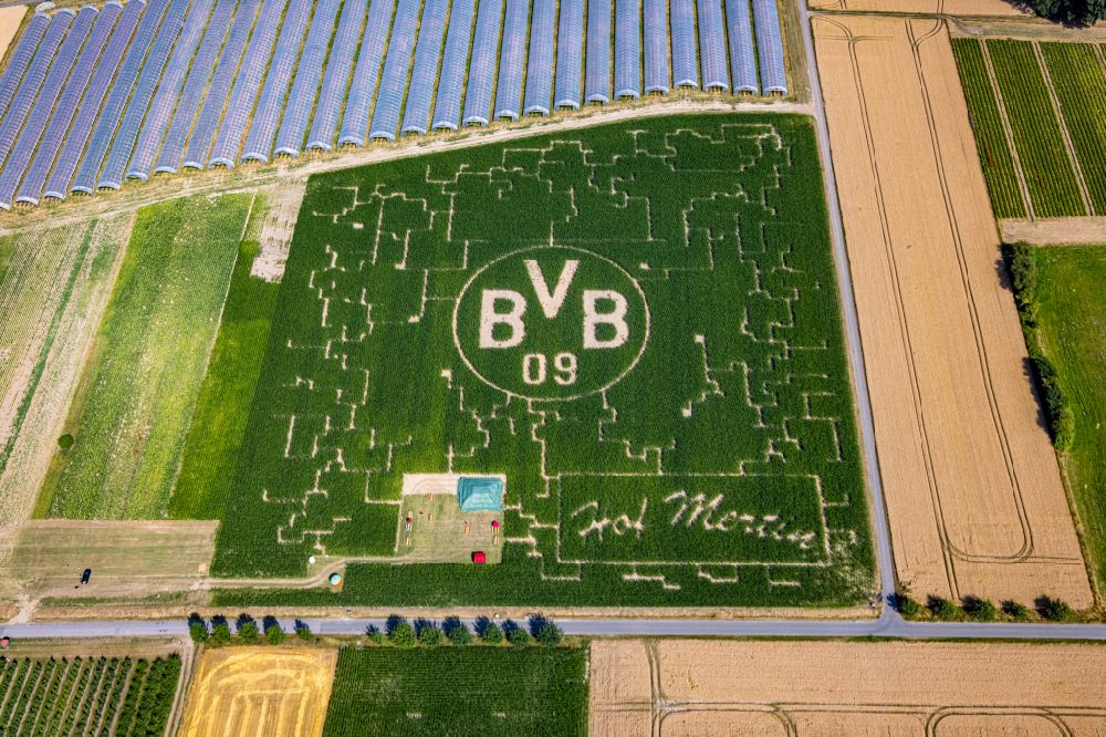 Luftbild Scharnhorst - Irrgarten - Labyrinth mit Werbung für den BVB Fußballverein in Scharnhorst im Bundesland Nordrhein-Westfalen, Deutschland
