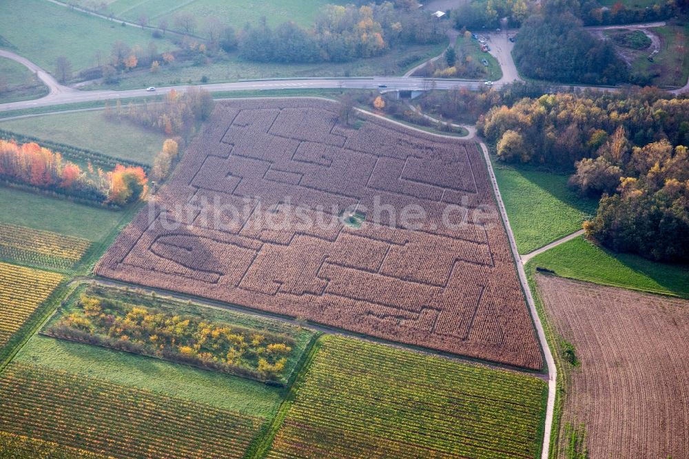 Luftaufnahme Göcklingen - Irrgarten - Maisfeld-Labyrinth auf einem Feld in Göcklingen im Bundesland Rheinland-Pfalz, Deutschland